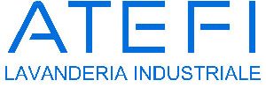 LOGO_ATEFI
